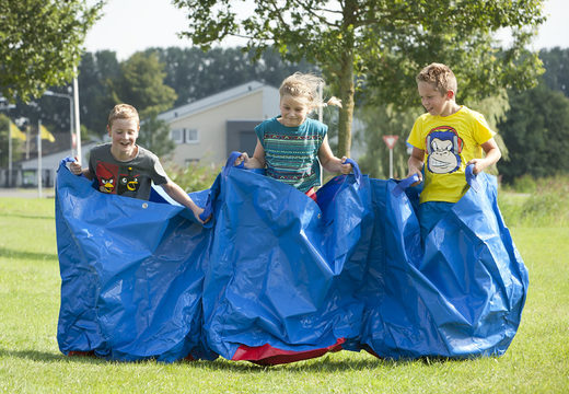 Buy blue party bags for both old and young. Order inflatable items online at JB Inflatables UK