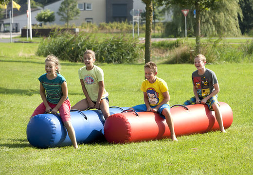 Bouncy tube Blue and red for both old and young. Buy inflatable items online at JB Inflatables UK