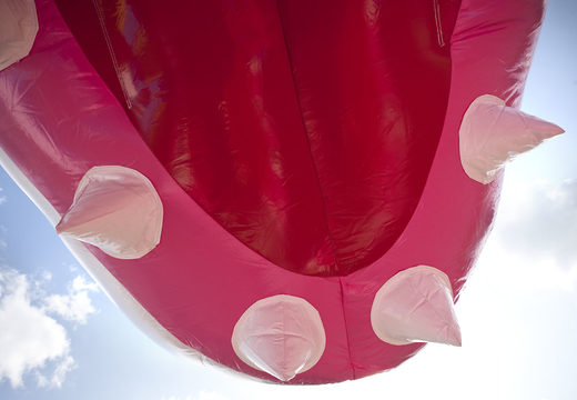 Buy medium inflatable shark themed multiplay bouncy castle with slide for kids. Order inflatable bouncy castles online at JB Inflatables UK