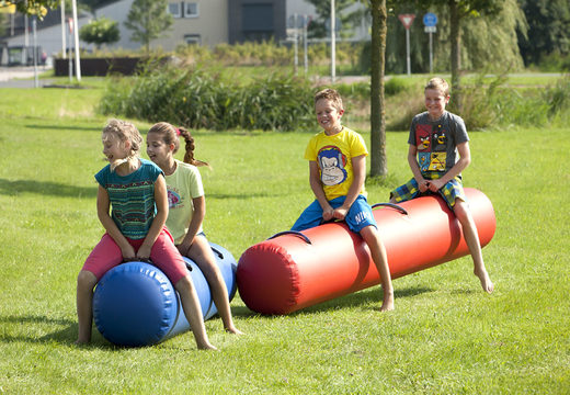 Buy blue and red bouncy tube for both old and young. Order inflatable items online at JB Inflatables UK