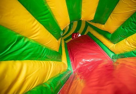 Order a crawling tunnel lion bounce house with obstacles, a climbing slope and sliding slope for kids. Buy bounce houses online at JB Inflatables UK