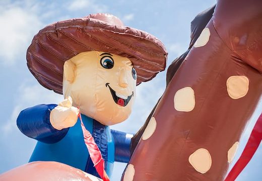 Buy a large covered bouncy castle in a cowboy theme for kids. Order bouncy castles online at JB Inflatables UK 