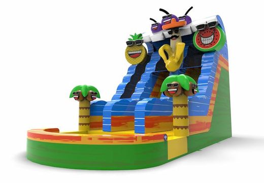 Order an inflatable waterslide D18 in caribbean theme for both young and old. Inflatable commercial waterslides online for sale at JB Inflatables UK