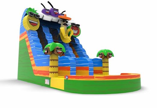 An inflatable waterslide D18 in theme caribbean for both young and old for sale. Order inflatable waterslides online at JB Inflatables UK
