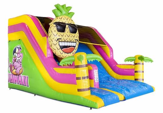 Order inflatable compact slide air cushion in Hawaii theme with palm trees for children