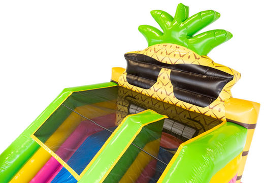 Kids Hawaii Theme Inflatable Bouncer With Big Slide For Sale