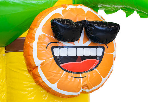 Buy large inflatable bouncy castle in Flamingo theme for children. Order inflatables online at JB Inflatables UK