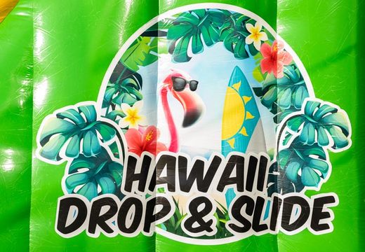 Buy Drop and Slide in theme Hawaii for kids. Order waterslides now online at JB Inflatables UK