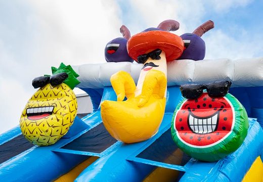 Order Caribbean Drop and Slide inflatable water slide for kids. Buy waterslides now online at JB Inflatables UK