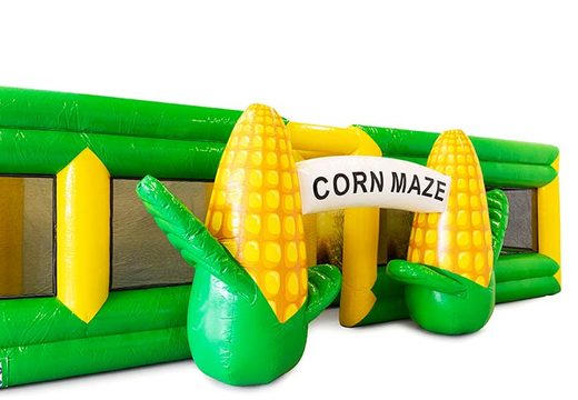 Corn themed maze